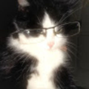 Meet your Posher, Joy